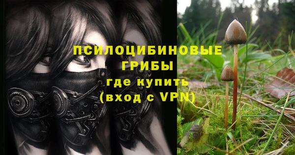 ПСИЛОЦИБИНОВЫЕ ГРИБЫ Зеленокумск
