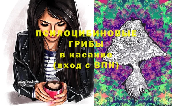 ПСИЛОЦИБИНОВЫЕ ГРИБЫ Зеленокумск